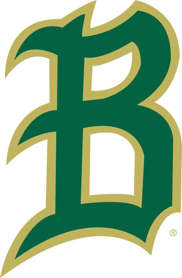 UAB Blazers 2015-Pres Secondary Logo diy iron on heat transfer